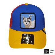 کلاه گورین گربه آبی